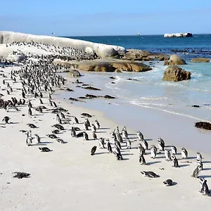Admiral's Waterfall Self-catering Simon's Town